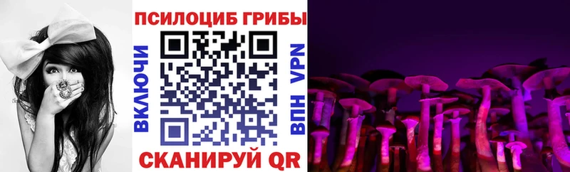 Купить где  Элиста  Псилоцибиновые грибы MAGIC MUSHROOMS 